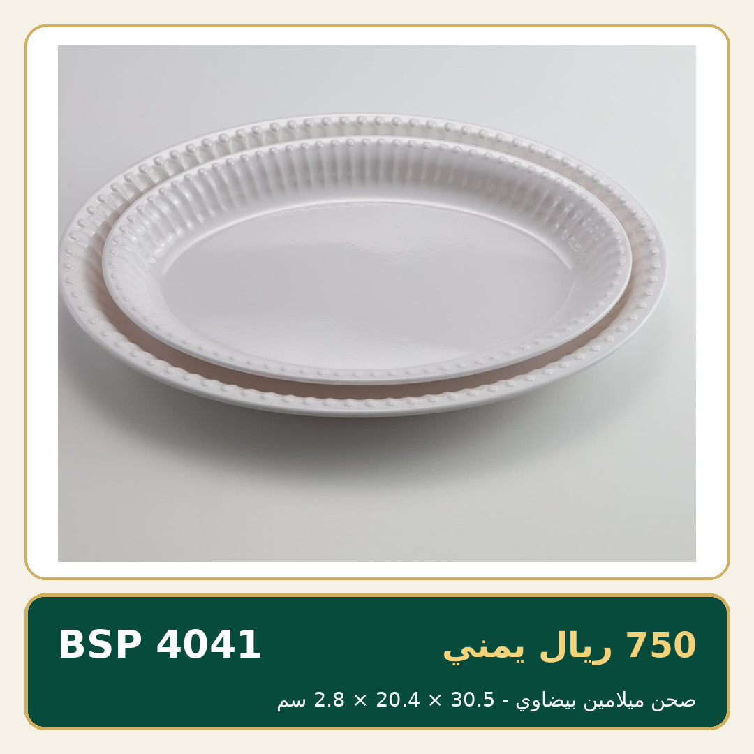 صحن ميلامين بيضاوي — صورة 1