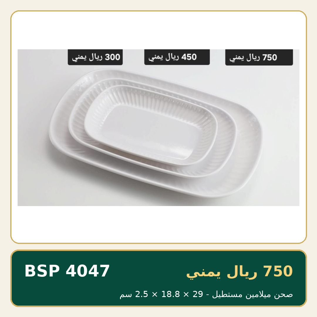 صحن ميلامين مستطيل — صورة 1